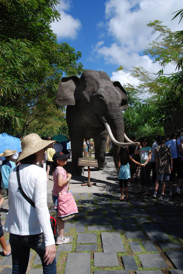 Bali Safari & Marine Park, Gianyar: Petualangan Satwa Liar Sehari Penuh
