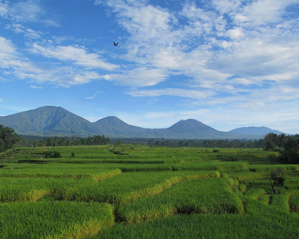 Bali Silent Retreat, Tabanan: Finding Stillness at the Foot of Mount Batukaru