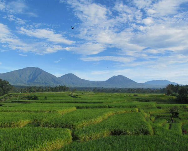 Bali Silent Retreat, Tabanan: Finding Stillness at the Foot of Mount Batukaru