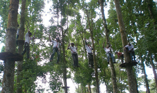 Bali Treetop Adventure Park: Test Your Nerve High in Bedugul's Pine Forest