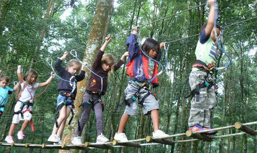 Bali Treetop Adventure Park: Uji Nyali di Ketinggian Hutan Pinus Bedugul