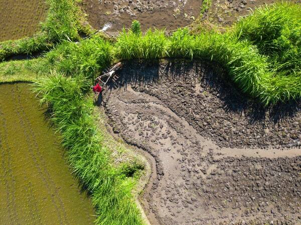 Bali untuk Digital Nomad 2026: Kawasan Terbaik, Biaya Bulanan & Cara Hemat Penginapan