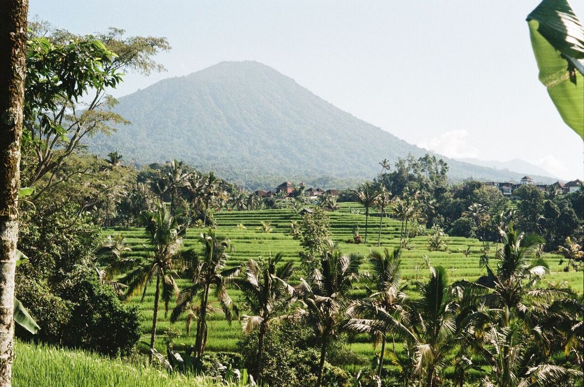 Bali für Alleinreisende: Sicherheit, Budget & Unterkünfte