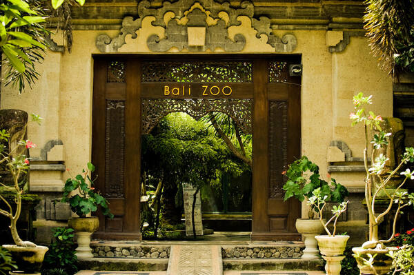 Bali Zoo in Gianyar: Breakfast with Orangutans to Elephant Mud Fun