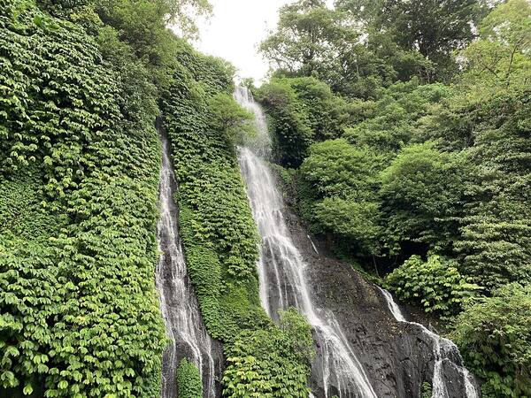Banyumala Twin Waterfall: Air Terjun Kembar Tersembunyi di Munduk