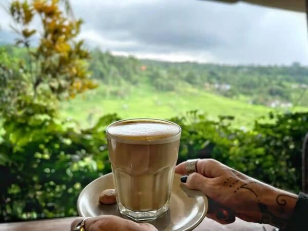 Batu Karu Kopi Jatiluwih: Harga Kopi dan Kursi Menghadap Sawah