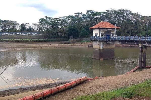 Bendungan Telaga Tunjung: Waduk Sepi Berlatar Sawah di Tabanan