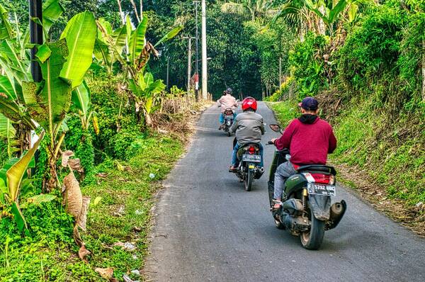 Berapa Harga Sewa Motor per Hari di Bali 2026?