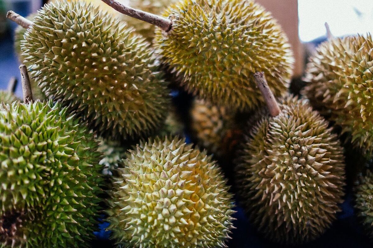 Pode levar durian para hotel ou avião em Bali?