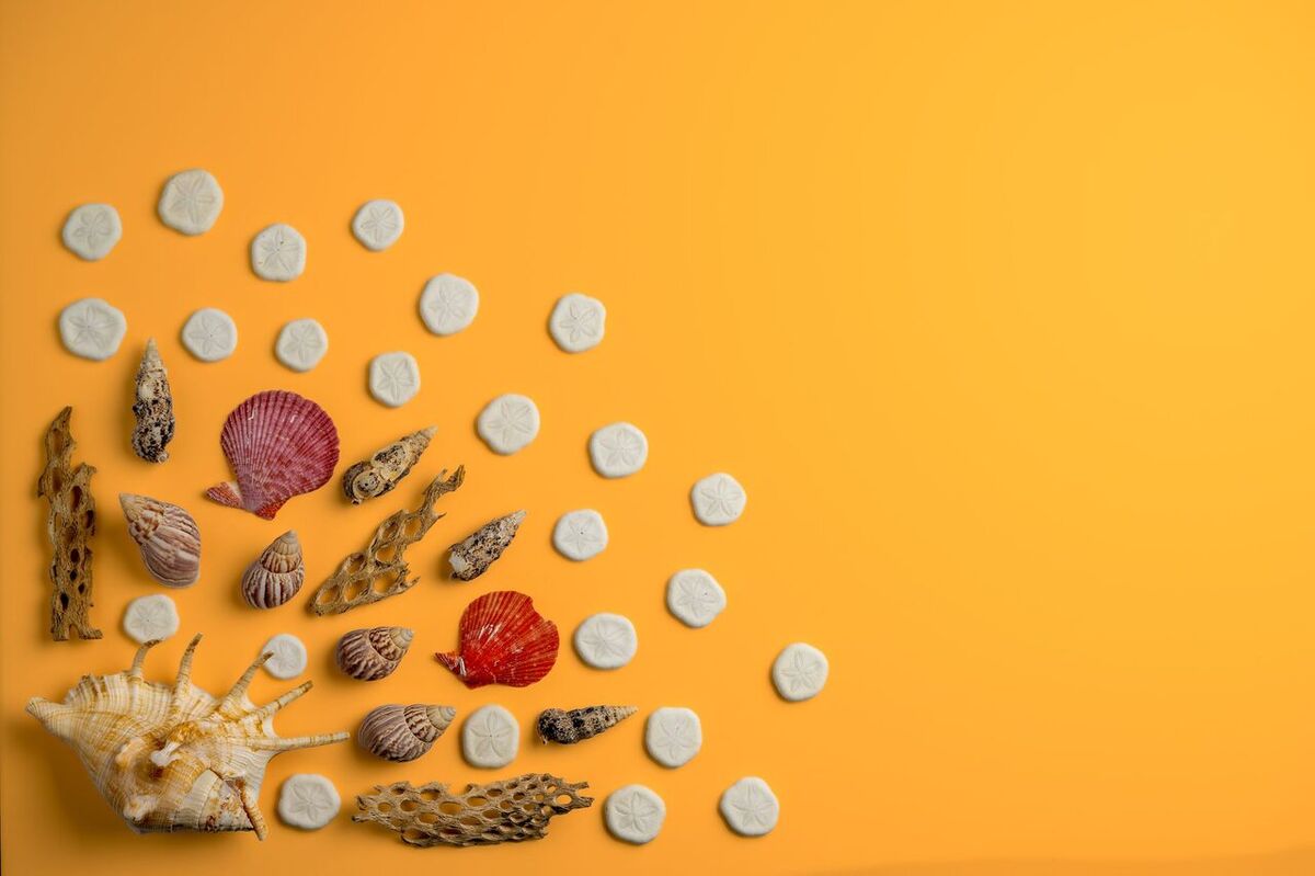 Can You Take Coral, Shells or Sand Home from Bali?