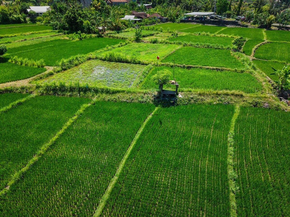 Can Foreigners Buy Land or a Villa in Bali?