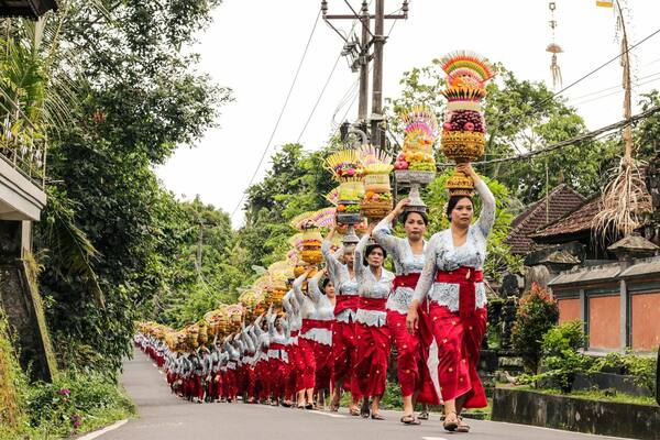 Bolehkah Turis Menonton Sabung Ayam (Tajen) di Bali?