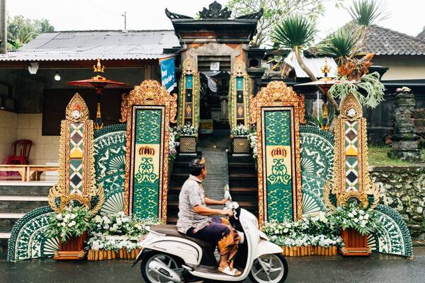 Bolehkah Turis Menonton Sabung Ayam (Tajen) di Bali?