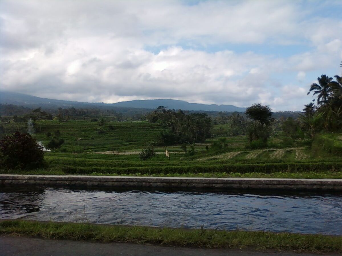 Bukit Belong Sidemen: Panoramic Rice Terraces & Mount Agung Views