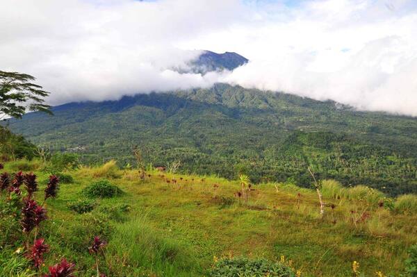 Bukit Cemara Karangasem: Sunrise Route, Entry Fee and Free Camping