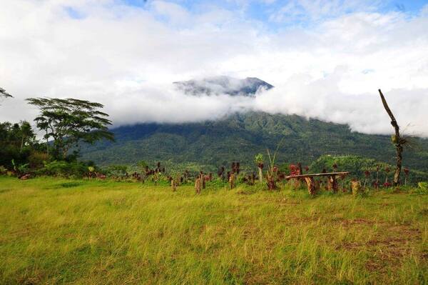 Bukit Cemara Karangasem: Rute Sunrise, Tiket, dan Camping Gratis