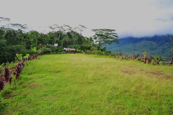 Bukit Cemara Karangasem: Rute Sunrise, Tiket, dan Camping Gratis