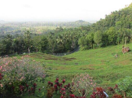 Bukit Jambul Karangasem: Panorama Sawah, Lembah, dan Laut di Jalur Rendang