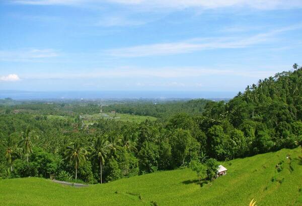Bukit Jambul Karangasem: Panorama Sawah, Lembah, dan Laut di Jalur Rendang