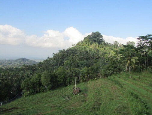 Bukit Jambul Karangasem: Panorama Sawah, Lembah, dan Laut di Jalur Rendang