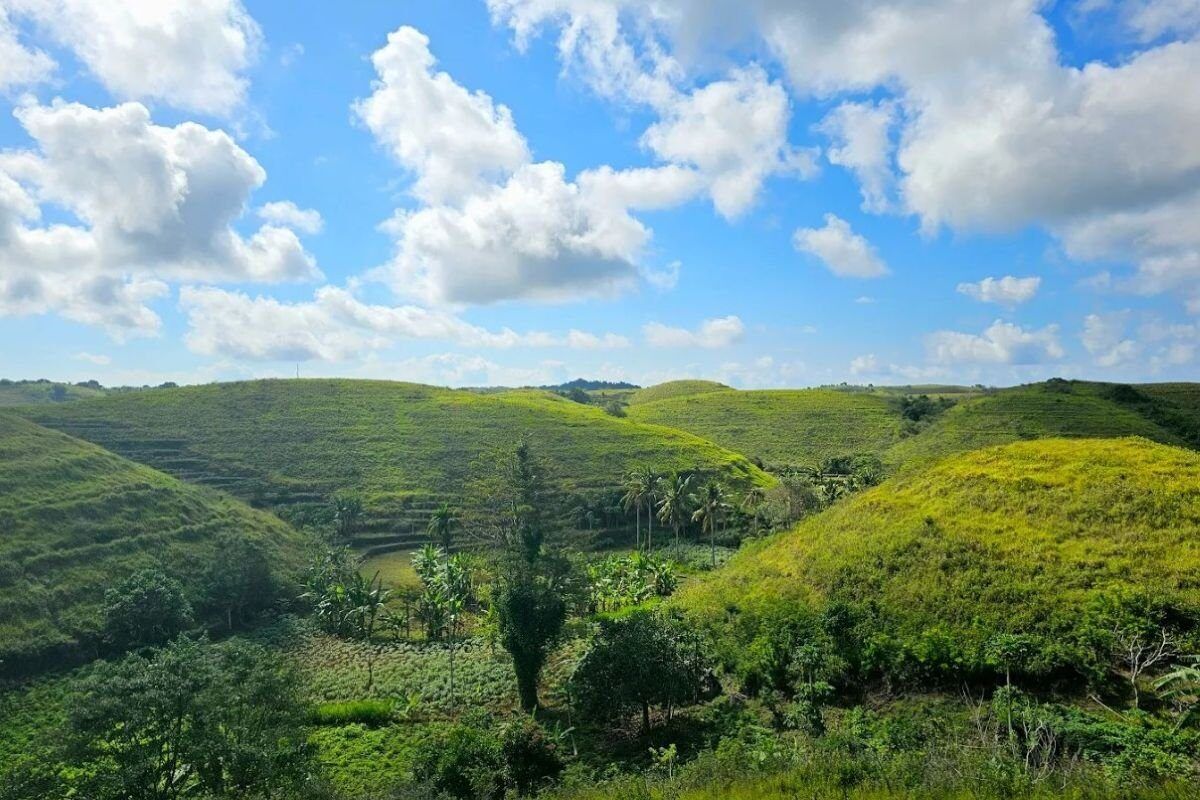 Bukit Teletubbies, Nusa Penida: Rolling Green Hills at the Island's Southeastern Tip