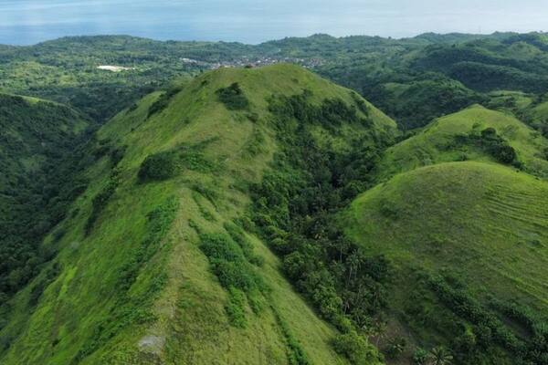 Bukit Teletubbies Nusa Penida: Padang Bukit Hijau di Ujung Tenggara Pulau