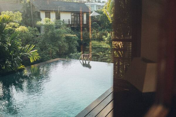 Bulan Madu di Bali 2026: 6 Kawasan Paling Romantis, Pilihan Resor & Tips Voucher Honeymoon