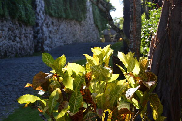 Bulgari Resort Bali: Menginap Ultra-Mewah di Tepi Tebing Uluwatu