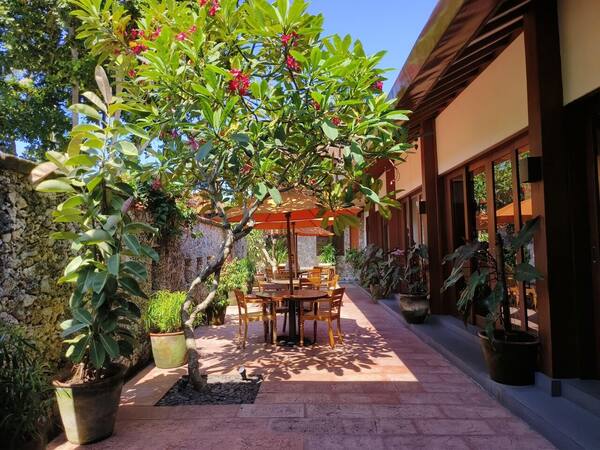 Cafe Batu Jimbar Sanur: Sarapan Panjang di Taman Legendaris