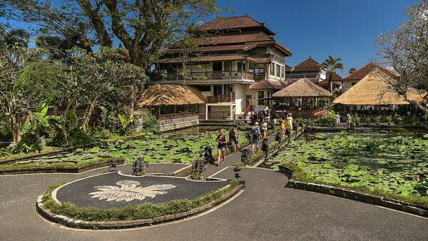 Cafe Lotus Ubud: Makan Malam di Tepi Kolam Teratai Pura Saraswati
