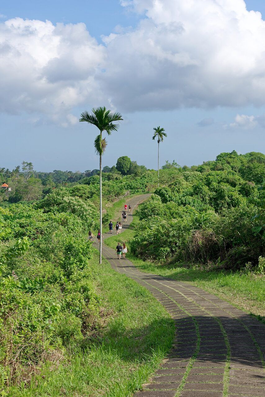Campuhan Ridge Walk Ubud: Free Grassy Ridge Trek