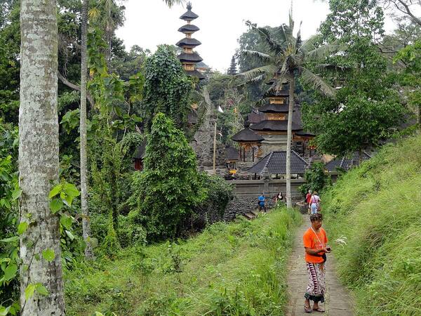Campuhan Ridge Walk Ubud: Trekking Punggung Bukit Rumput Gratis