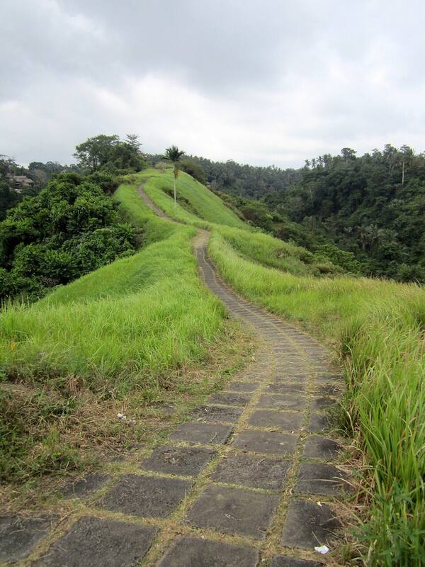 Campuhan Ridge Walk Ubud: Trekking Punggung Bukit Rumput Gratis