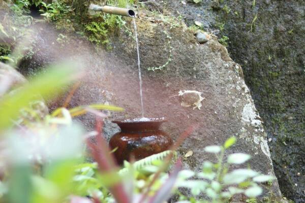 Candi Tebing Jukut Paku, Singakerta: Ceruk Pertapaan Kuno & Mata Air Suci di Tepi Sungai Wos