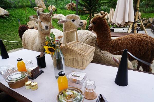 Cara ke Bali Farm House Pancasari dari Canggu dan Ubud