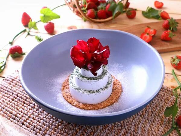 Cuca Restaurant Jimbaran: Tapas Kreatif Fine Dining di Taman Tropis