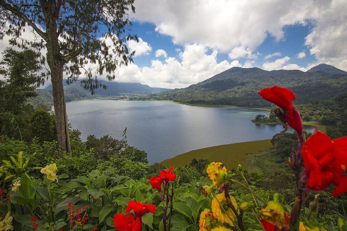 Lake Buyan, Bedugul: The Quiet Twin Lake for Camping & Trekking