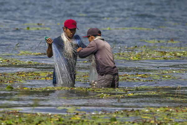 Danau Tamblingan: Danau Kaldera Tersembunyi nan Tenang di Munduk