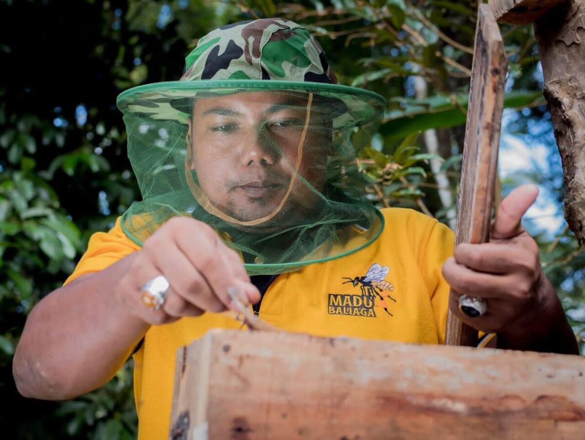 Banyuseri Village, Buleleng: Bali Aga Honey and How to Get There