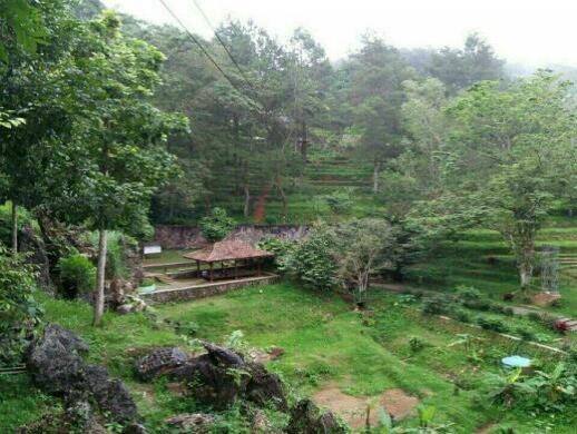 Desa Banyuseri, Buleleng: Bali Aga, Madu Kele-Kele, dan Aksesnya