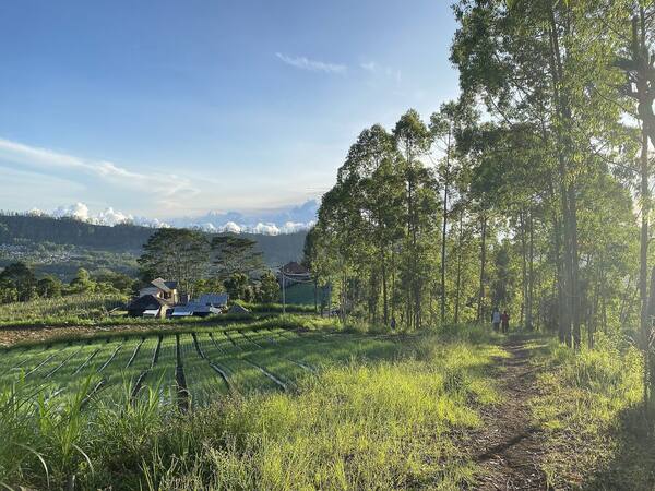 Desa Belandingan, Kintamani: Sunrise Sepi di Tepi Kaldera Batur