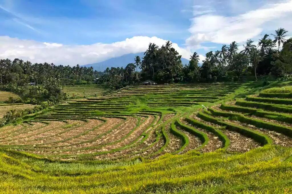 Belimbing Village