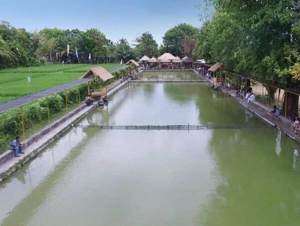 Desa Budaya Kertalangu: Sawah, Jogging Track, dan Gong Perdamaian di Denpasar