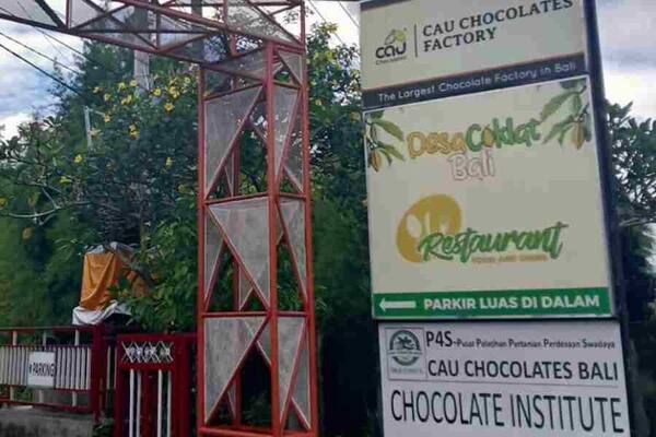 CAU Chocolate Village in Marga, Tabanan: Is the Cacao Tour Worth It?