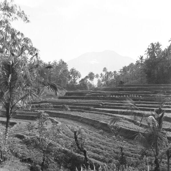 Desa Iseh, Sidemen: Lembah Sawah yang Dilukis Walter Spies dan Theo Meier di Kaki Gunung Agung