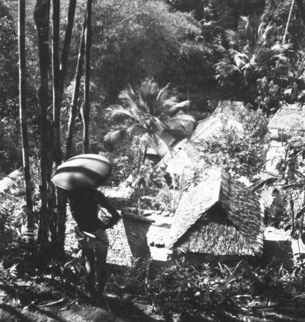 Desa Iseh, Sidemen: Lembah Sawah yang Dilukis Walter Spies dan Theo Meier di Kaki Gunung Agung