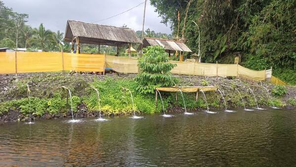 Desa Muncan, Karangasem: Sawah Bertingkat, Telabah Lantang & Melukat di Kaki Gunung Agung