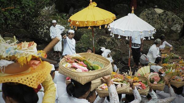 Desa Pedawa, Buleleng: Bali Aga, Gula Aren, dan Rumah Bambu di Perbukitan