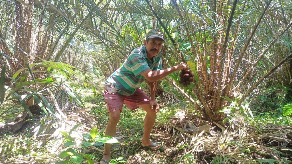 Sibetan Village, Karangasem: Snake Fruit Groves on Mount Agung’s Slopes