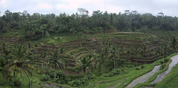 Desa Sudaji: A Hidden Gem in the Foothills of Buleleng